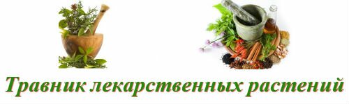 описание лекарственных растений