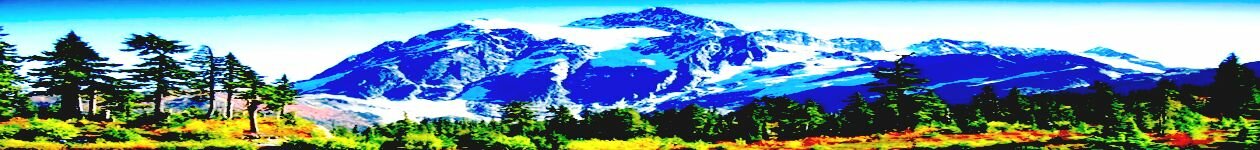 Народная Медицина